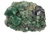 Fluorite and Galena Crystal Association - Rogerley Mine #97880-1